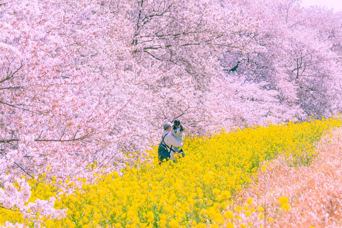 美しい桜に逢える場所〜南関東のさくら名所〜【2022】
