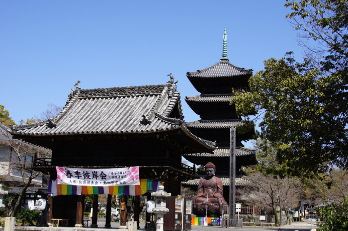 春分」太陽の動きが季節の変わり目を規定。心も身体も新たな季節へ