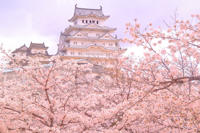 美しい桜に逢える場所〜近畿地方のさくら名所〜【2022】