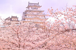美しい桜に逢える場所〜近畿地方のさくら名所〜【2022】
