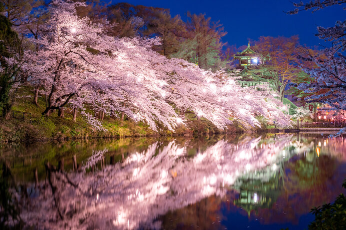 美しい桜に逢える場所〜北陸地方のさくら名所〜【2022】