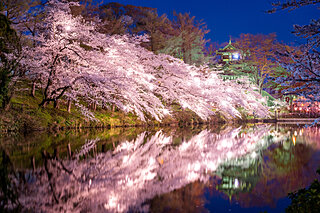 美しい桜に逢える場所〜北陸地方のさくら名所〜【2022】