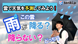 【動画あり】この雲、雨降る？降らない？雲から天気を予測しよう！