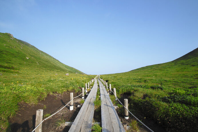 高山植物と温泉が魅力！初心者にもおすすめの山