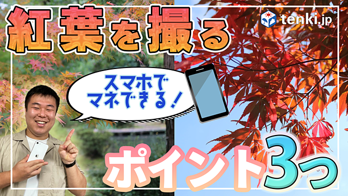 【動画あり】スマホで簡単！紅葉をキレイに撮る3つのポイント