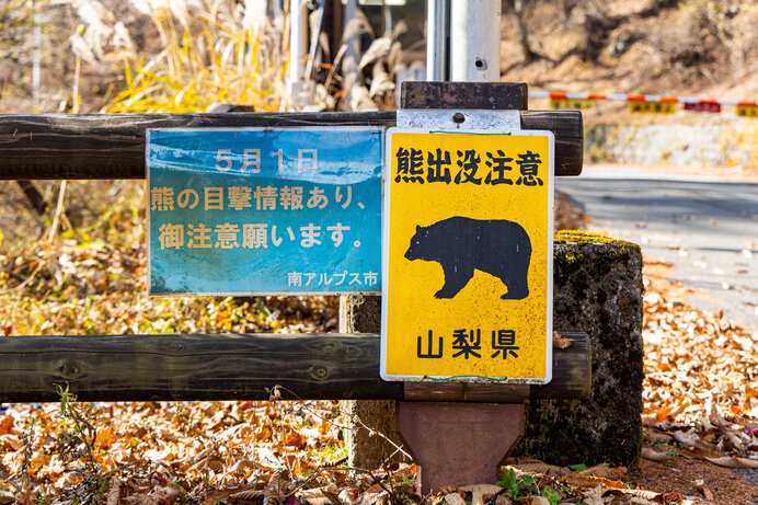 登山で野生動物に遭遇したらどうすればいい？トラブル回避のポイント