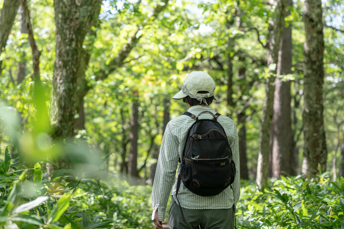 防虫対策をしっかりと行おう！登山でパニックにならないための基礎知識