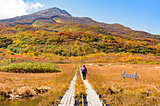 山は秋がひと足早くやってくる！9月に紅葉を楽しめるおすすめの山4選
