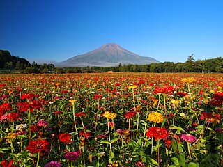 富士登山に挑戦！登山初心者が気を付ける天気や持ち物