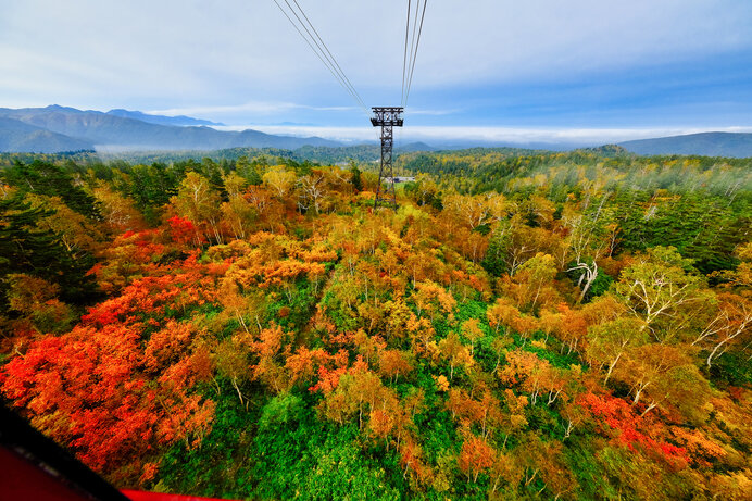 紅葉前線 北海道からスタート!／北海道の紅葉スポット(1)(季節・暮らしの話題 2022年09月25日) - 日本気象協会 tenki.jp