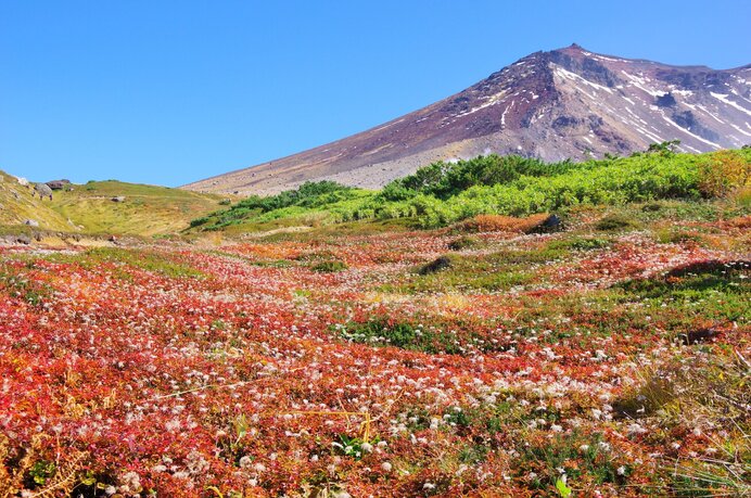 大雪山 旭岳／ロープウェイで見る山岳の紅葉。1時間の散策コースも