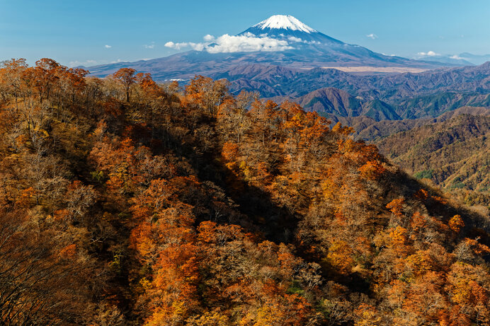 今年の秋は紅葉登山を楽しもう！初心者でも登れるおすすめの山4選(季節