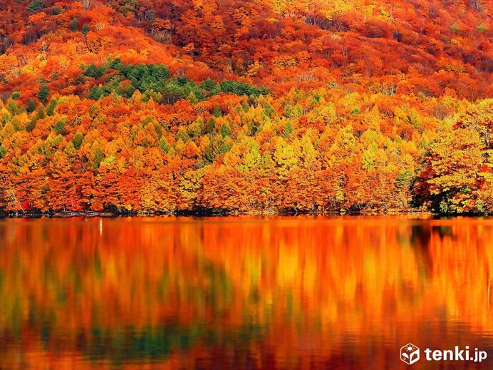 いつから紅葉登山が楽しめる 紅葉シーズンにおすすめの山 季節 暮らしの話題 22年09月30日 日本気象協会 Tenki Jp