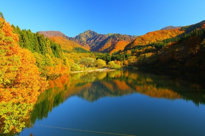 キャンプで秋を感じよう！紅葉と星空が美しいキャンプ場【北陸地方】(tenki.jpサプリ 2022年10月09日)
