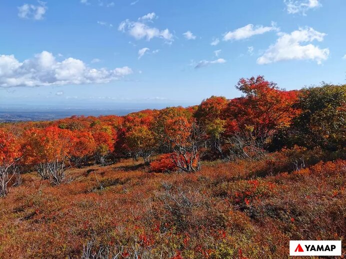 樽前山