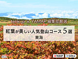 【tenki.jp×YAMAP】紅葉時期におすすめ 東海地方の人気登山コース5選
