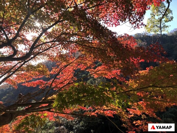 摩耶山