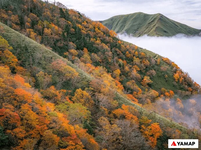 剣山