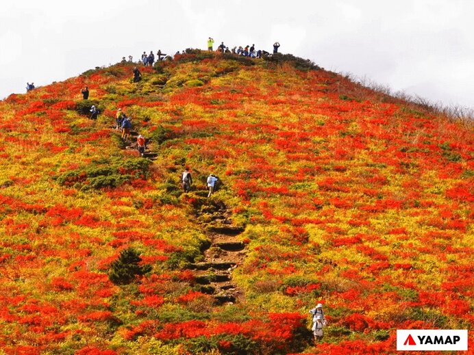 比婆山