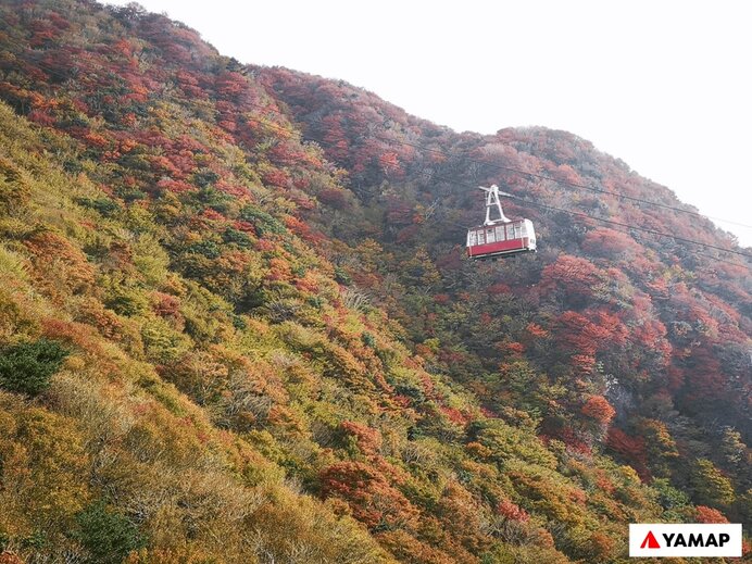 雲仙岳