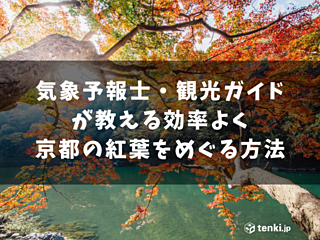 気象予報士・観光ガイドが教える効率よく京都の紅葉をめぐる方法
