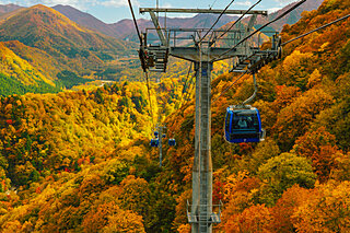 楽して紅葉を楽しみたい！眼下に広がる紅葉、天空を感じてみては？＜北関東・東北編＞