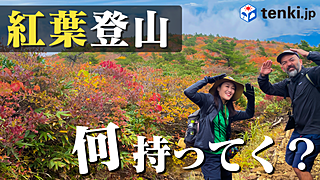 【動画あり】秋の紅葉狩り登山　気象予報士とアウトドアガイドが教える　紅葉のしくみや秋登山の注意点
