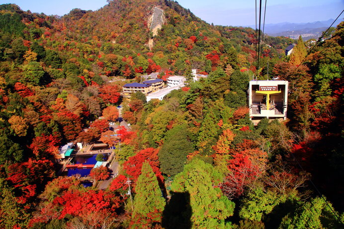 この季節だけの景色を楽しもう 関西エリアで紅葉がおすすめの山4選 季節 暮らしの話題 22年10月26日 日本気象協会 Tenki Jp