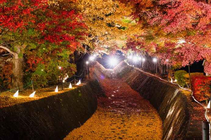 ※写真はイメージです