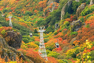 紅葉登山を逃した人は必見！これからでも間に合う遅い紅葉スポット4選