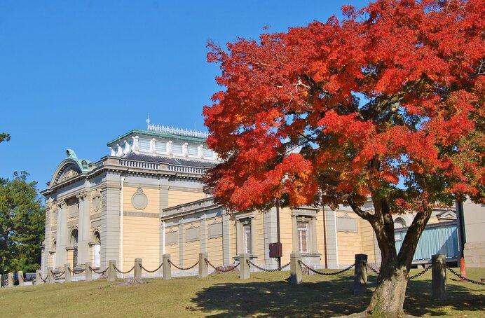 始まっています！自由と平和を愛し、文化をすすめる「教育・文化週間」