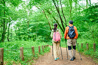 登山後の筋肉痛や疲労を軽減しよう！早期回復に向けたリカバリー方法