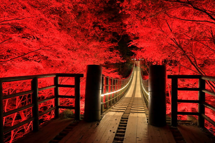 美しい橋が架かる紅葉名所〜絶景に包まれて橋を渡ろう〜【関東甲信