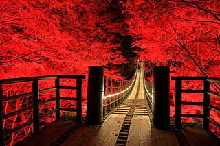 美しい橋が架かる紅葉名所〜絶景に包まれて橋を渡ろう〜【関東甲信】
