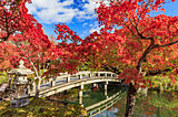 近畿の紅葉が見頃です！これから楽しめる紅葉名所は？【近畿 紅葉 2022】