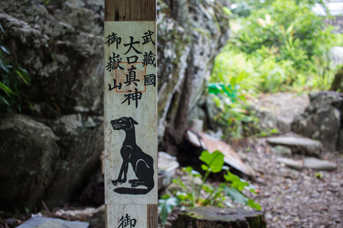 人気超特価狼像　ニホンオオカミ像　神像　狼信仰　犬神真口大神　山犬　御犬様　奉納　狛犬　御眷属　三峯神社　中山神社　山住神社　御嶽神社 仏像