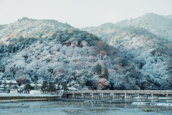 最新の天気予報をチェックする