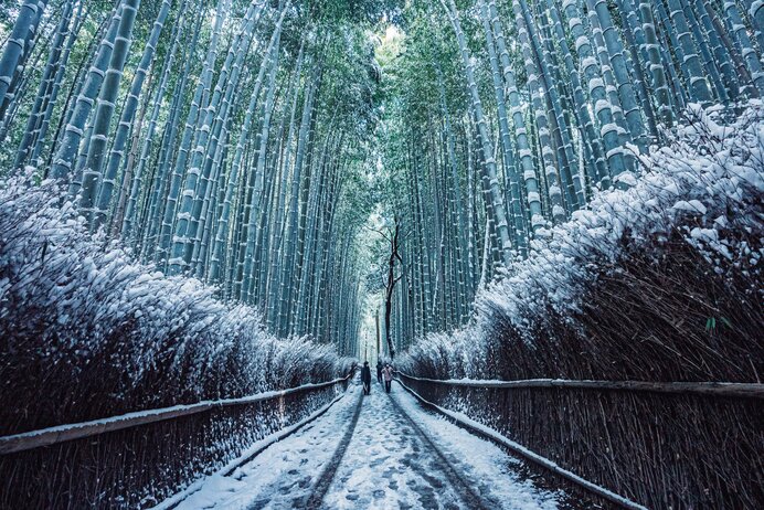 朝早くに出かけて京都の雪景色を撮りに行く
