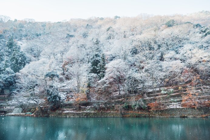 京都の雪景色の狙い方と写真の撮り方まとめ