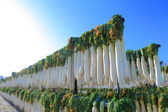 寒い時にも野菜を美味しく！ 「大根干し」