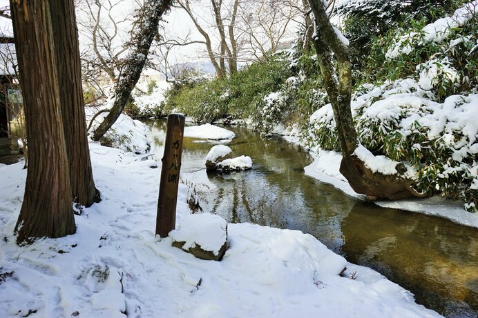 ※写真はイメージです