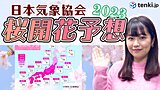 【動画あり】今年の桜、いつ咲く？第2回桜開花予想2023
