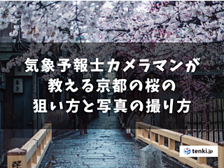気象予報士カメラマンが教える京都の桜の狙い方と写真の撮り方