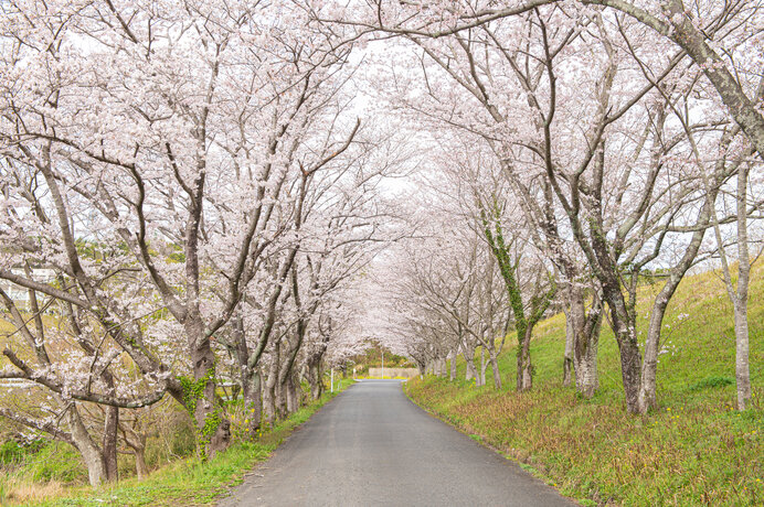 ※写真はイメージです