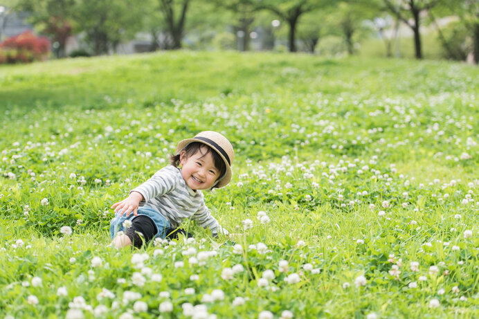 野の花を探して歩こう！ 四月の陽光に包まれ緑の中に咲いています(季節