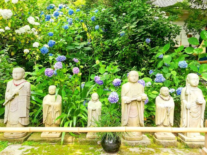 明月院のお地蔵さん。鎌倉は紫陽花スポットがたくさんあります！