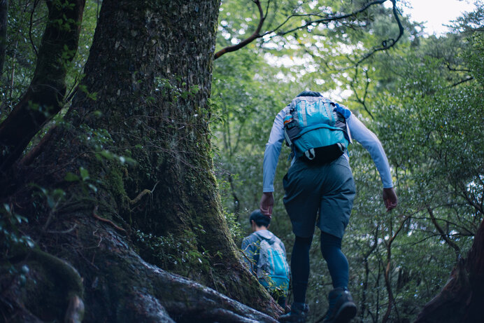 雨に濡れた景色が幻想的で美しい！梅雨の時期に登りたい関西の山4選