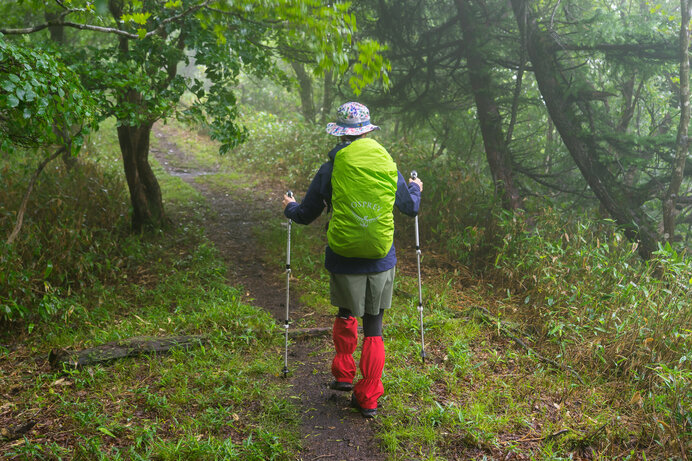 雨でも登山を楽しもう！梅雨シーズンに意識すべき4つのポイント