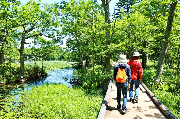 5つだけ！日本の世界自然遺産を総おさらい_画像