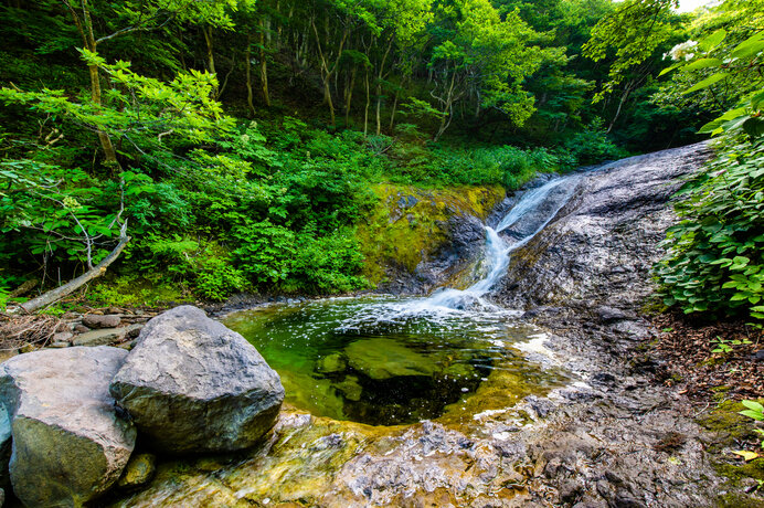 夏こそ温泉！のおすすめの理由